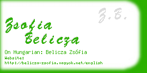 zsofia belicza business card